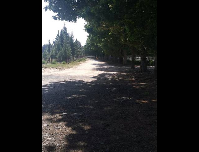 FARM FOR SALE IN ERMELO RURAL